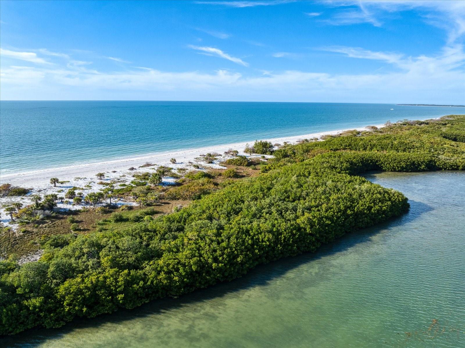 1198 MANDALAY Pt CLEARWATER, FL 33767