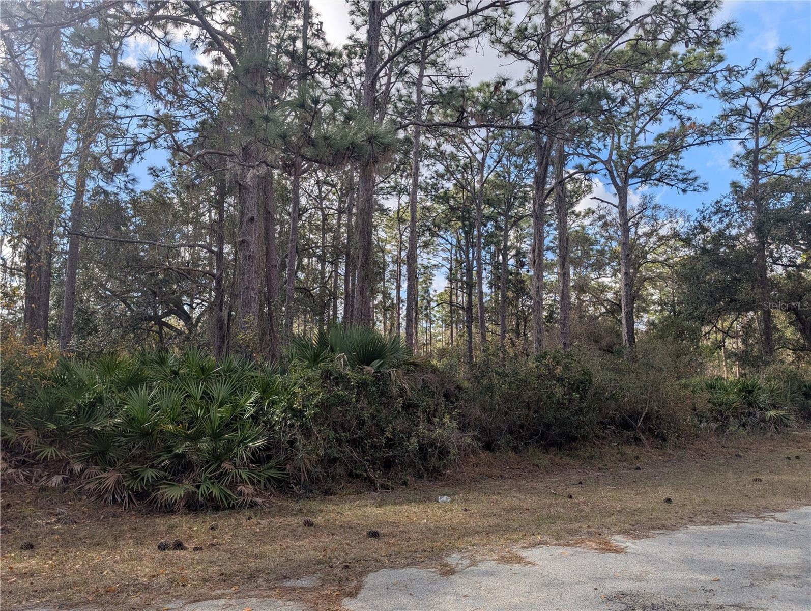 ALLAMANDA Dr INDIAN LAKE ESTATES, FL 33855