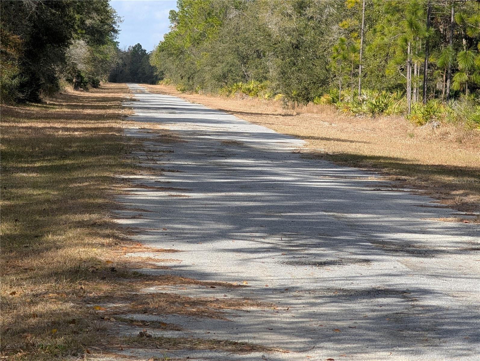 ALLAMANDA Dr INDIAN LAKE ESTATES, FL 33855