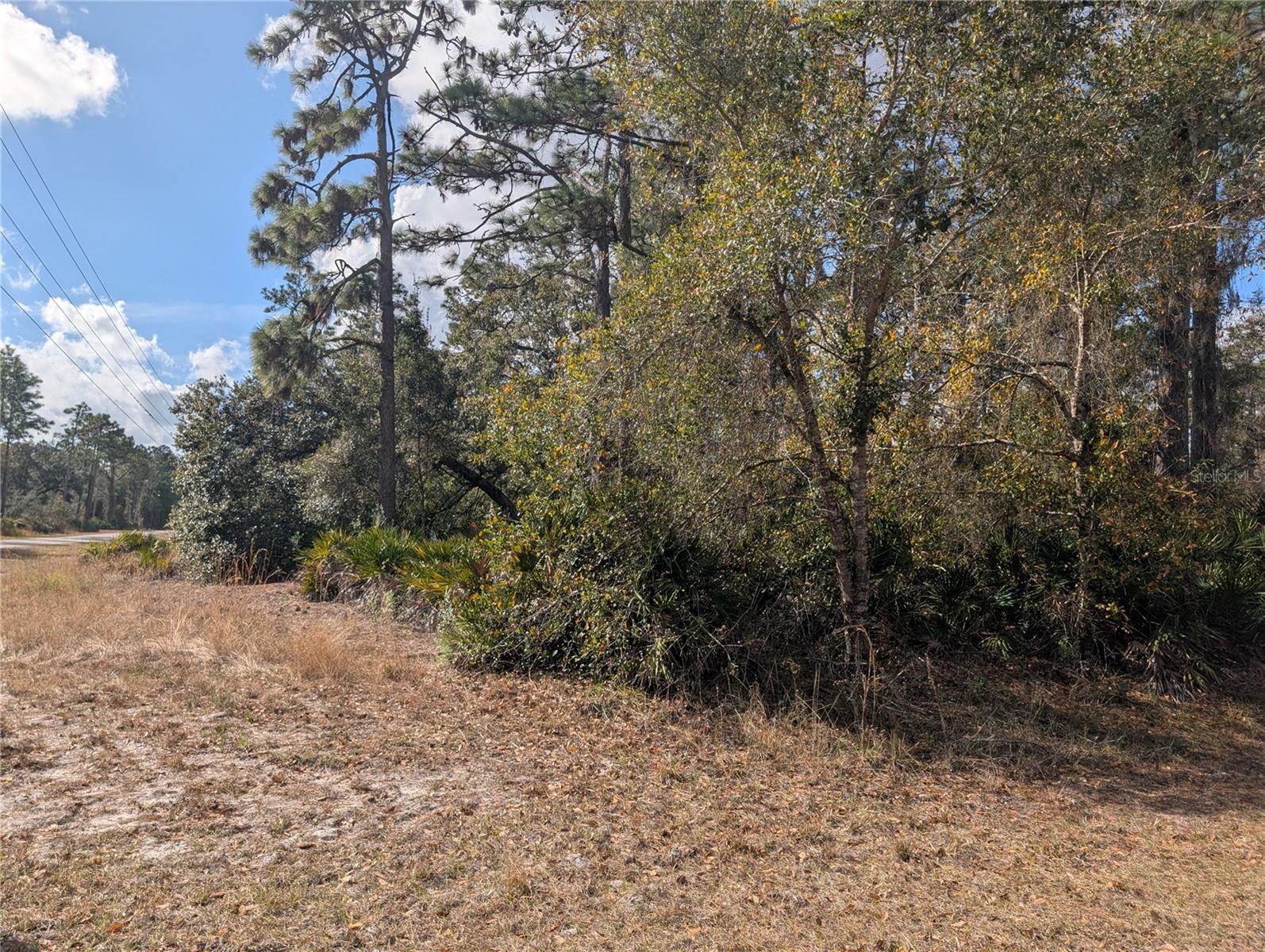 ALLAMANDA Dr INDIAN LAKE ESTATES, FL 33855