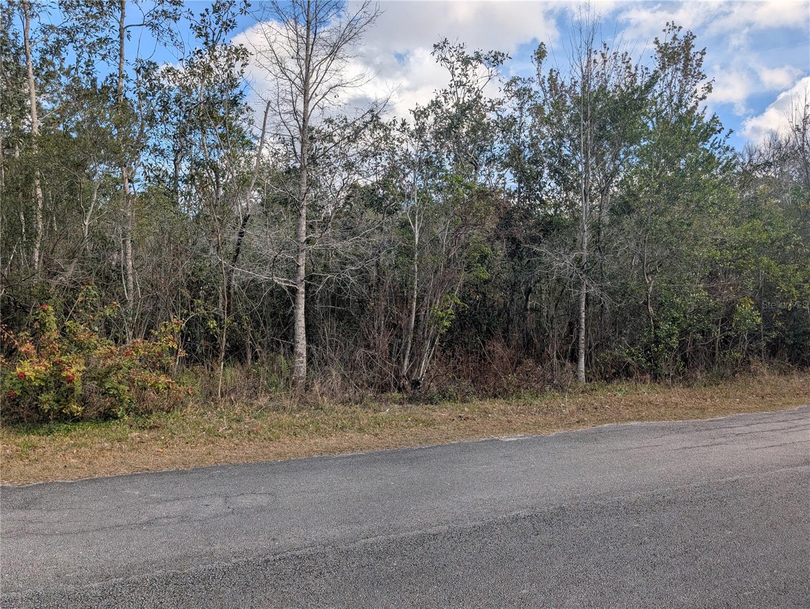 ALLAMANDA Dr INDIAN LAKE ESTATES, FL 33855