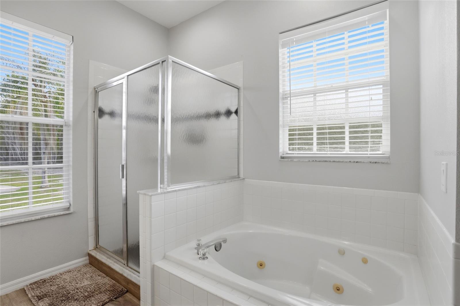 4111 FOXTAIL Ct KISSIMMEE, FL 34746