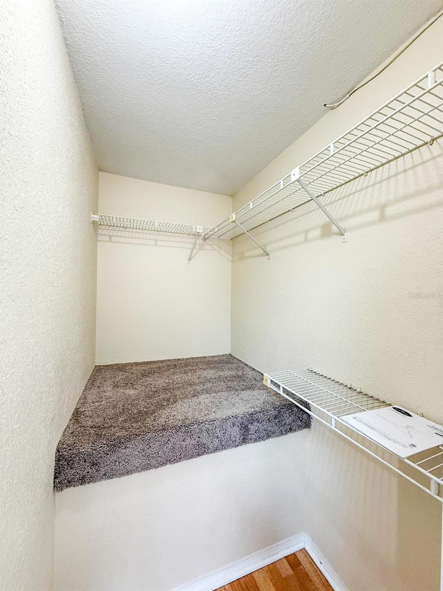 7522 HOLLOWELL Dr TAMPA, FL 33615