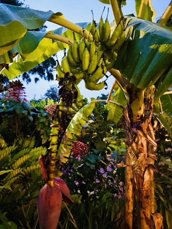 1234 W IVANHOE Blvd ORLANDO, FL 32804