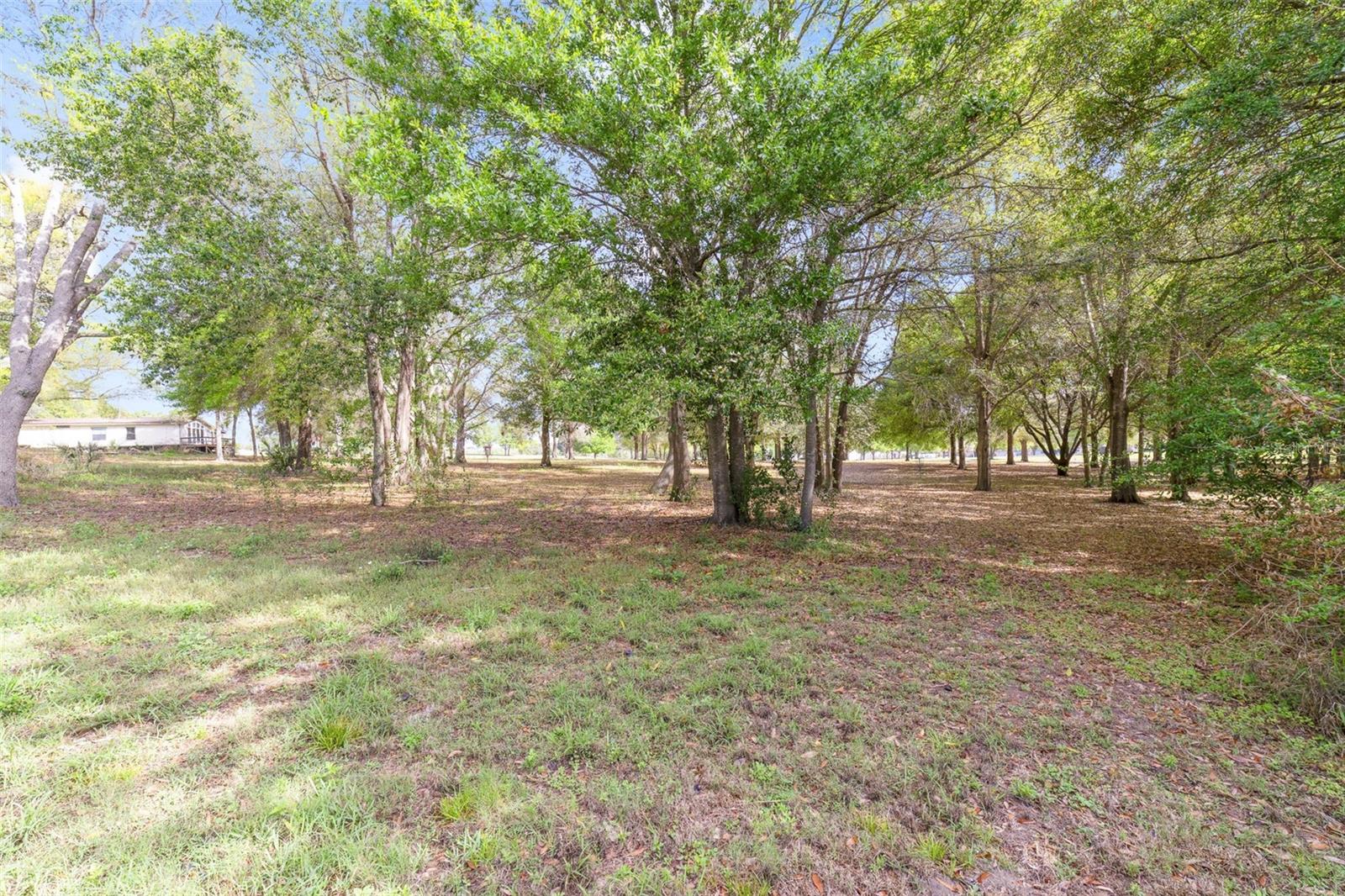 7291 HAWKSNEST Blvd ORLANDO, FL 32835