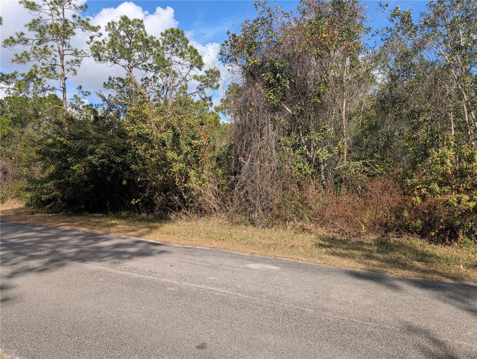 214 & 216 ALLAMANDA Dr INDIAN LAKE ESTATES, FL 33855