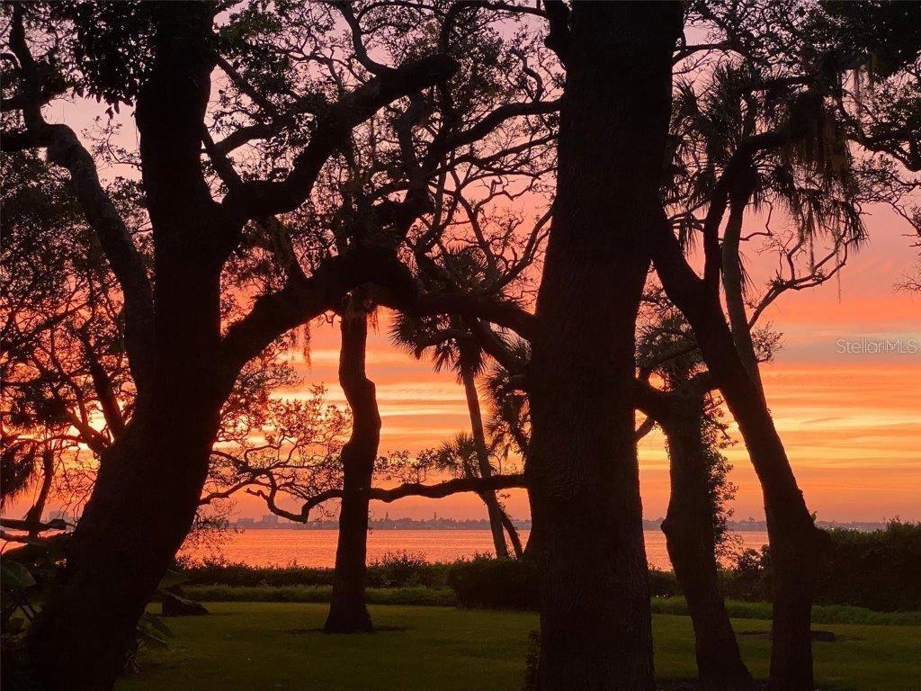 3350 OLD OAK Dr SARASOTA, FL 34239