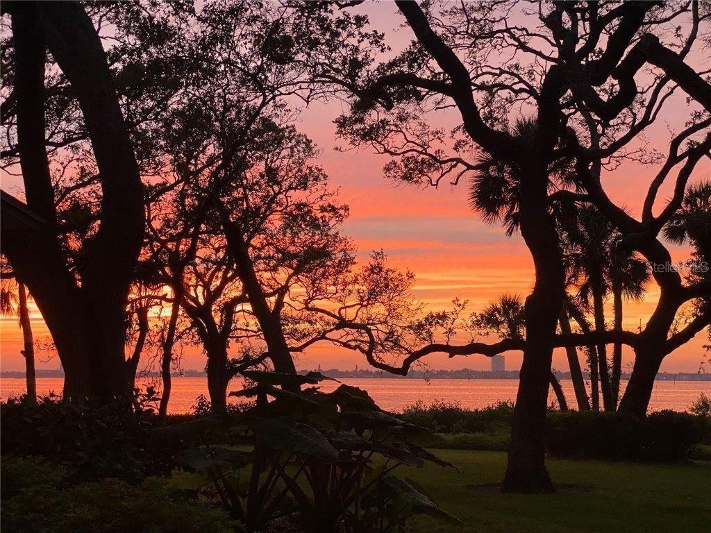 3350 OLD OAK Dr SARASOTA, FL 34239