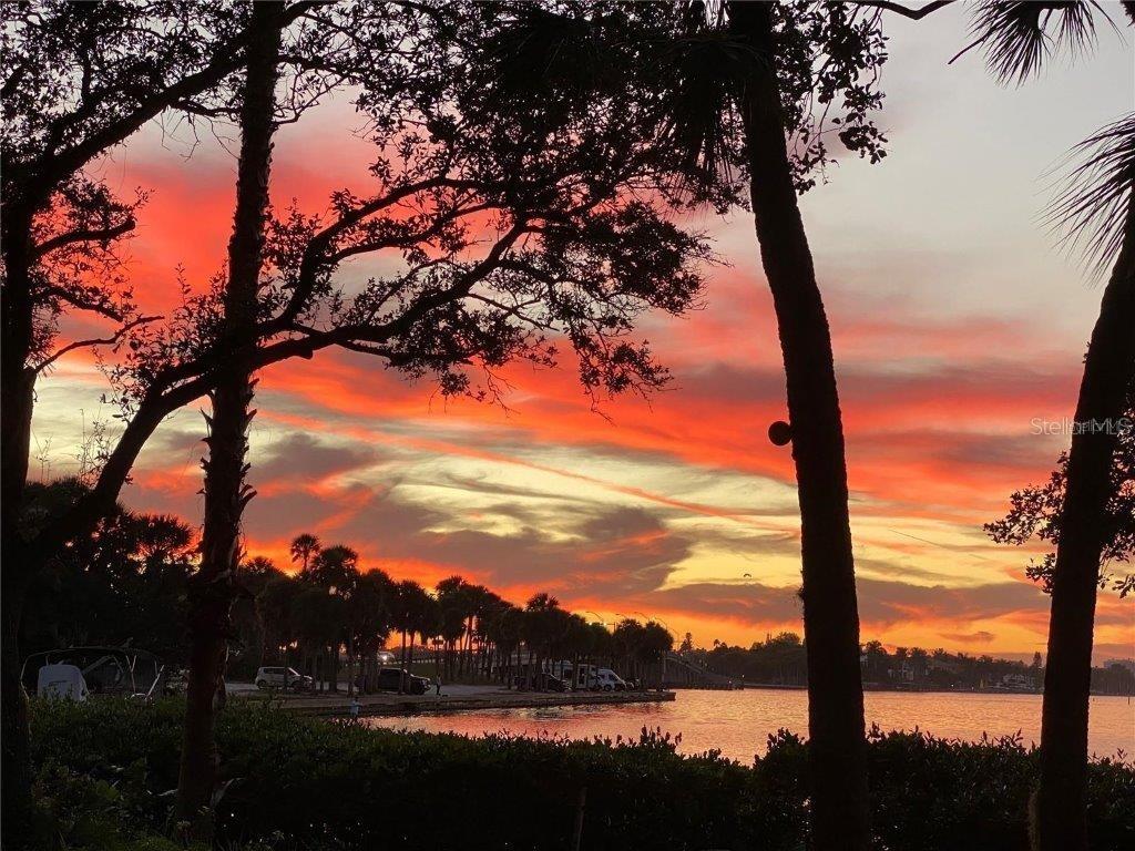 3350 OLD OAK Dr SARASOTA, FL 34239