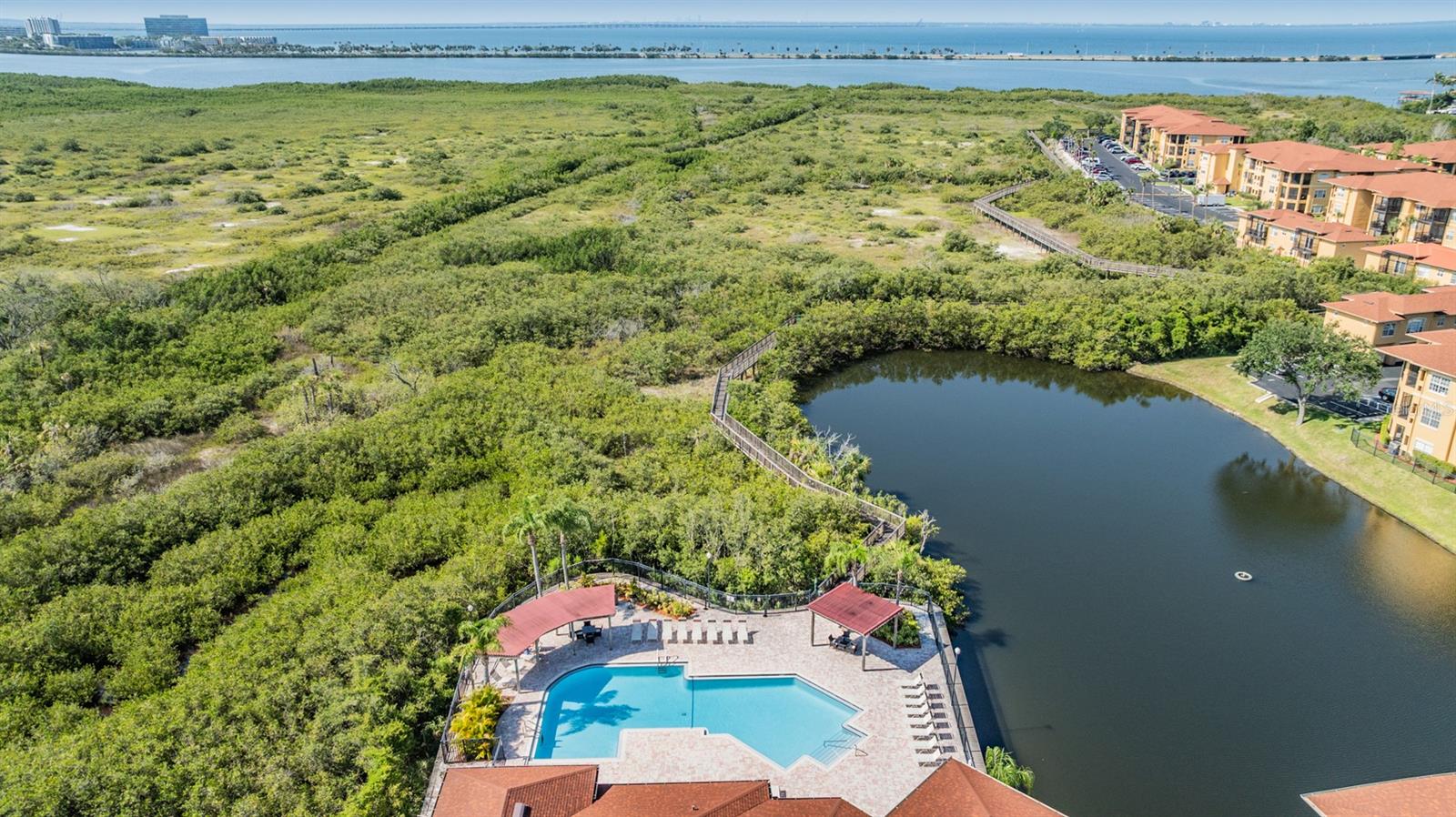 4307 BAYSIDE Vlg Dr #201 TAMPA, FL 33615