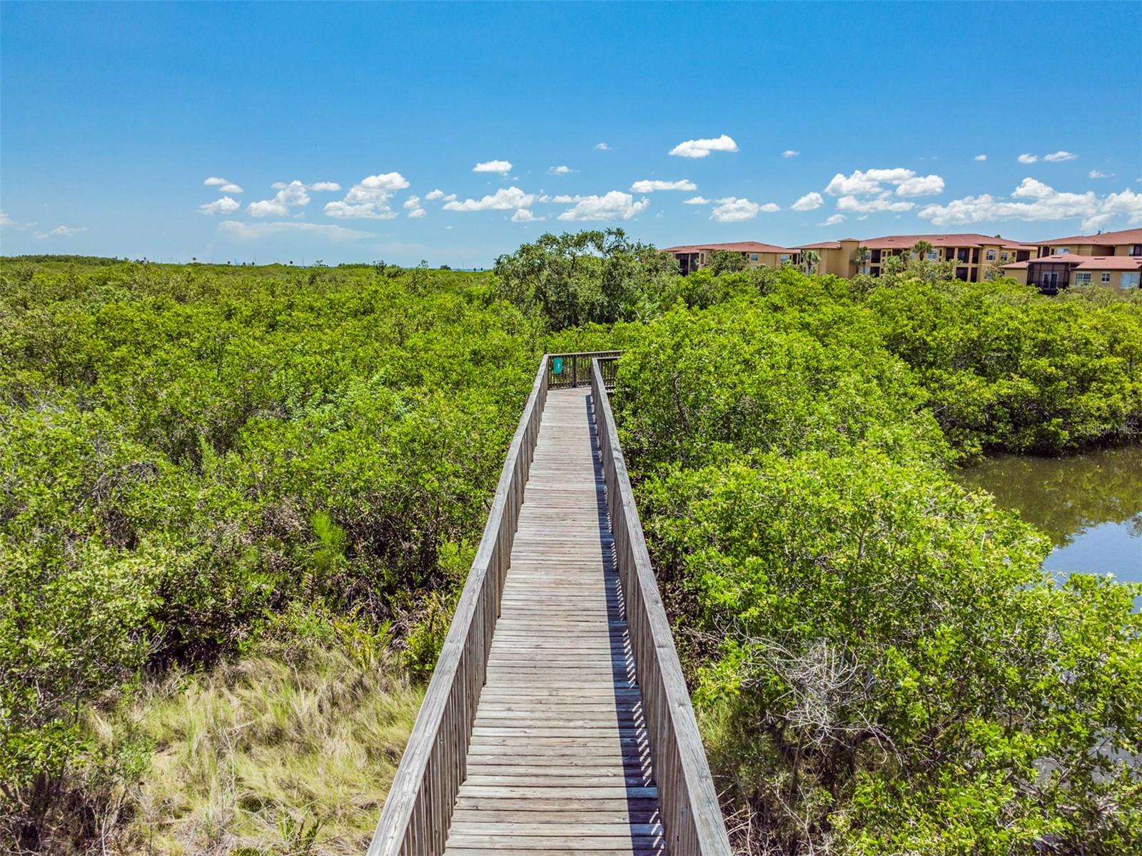 4307 BAYSIDE Vlg Dr #201 TAMPA, FL 33615