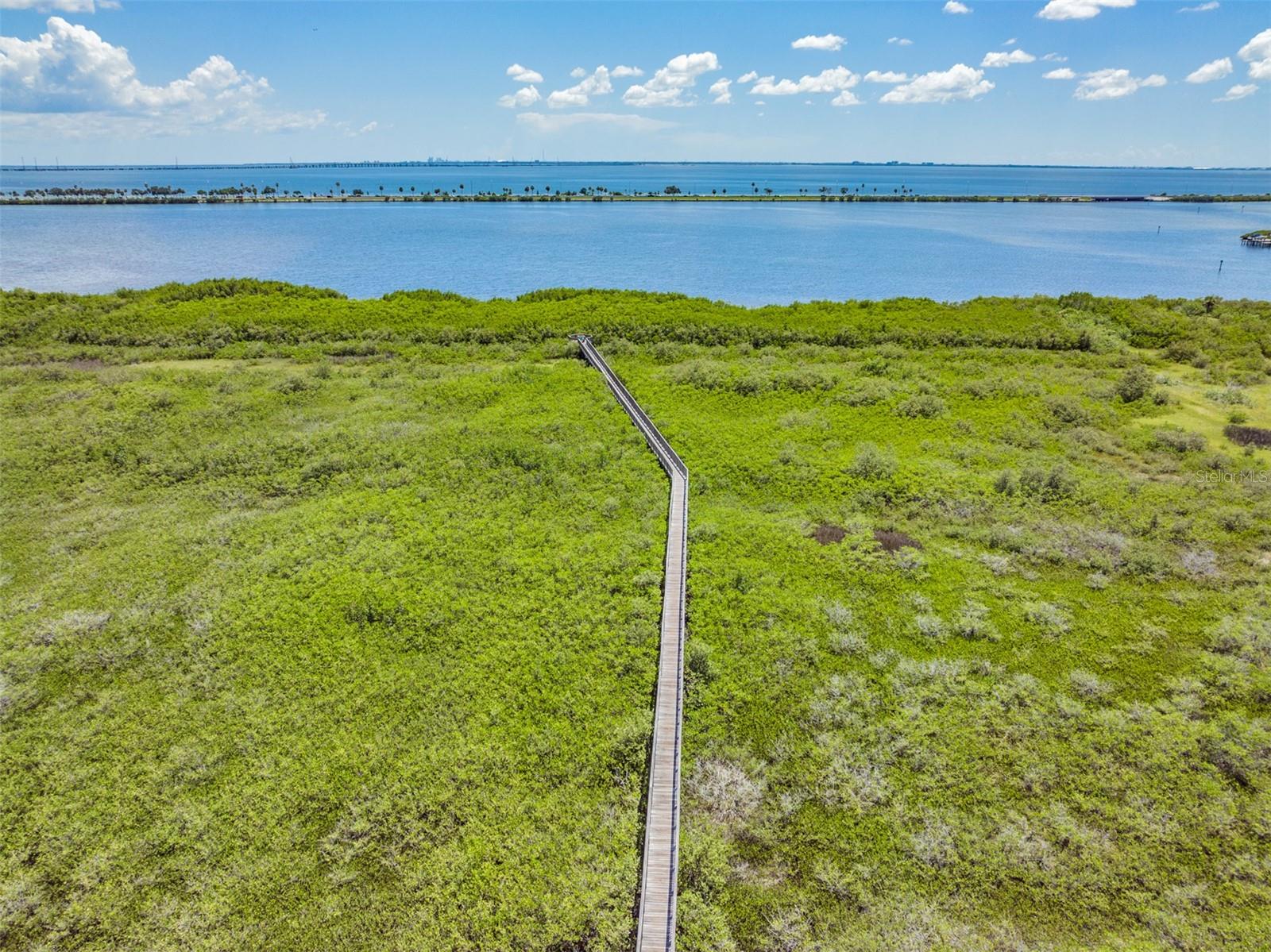 4307 BAYSIDE Vlg Dr #201 TAMPA, FL 33615