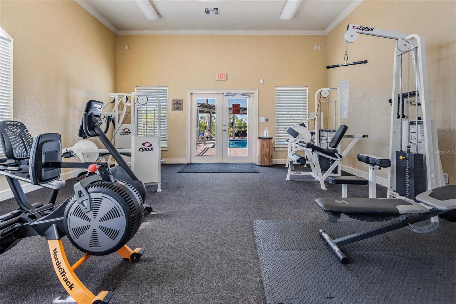 4307 BAYSIDE Vlg Dr #201 TAMPA, FL 33615