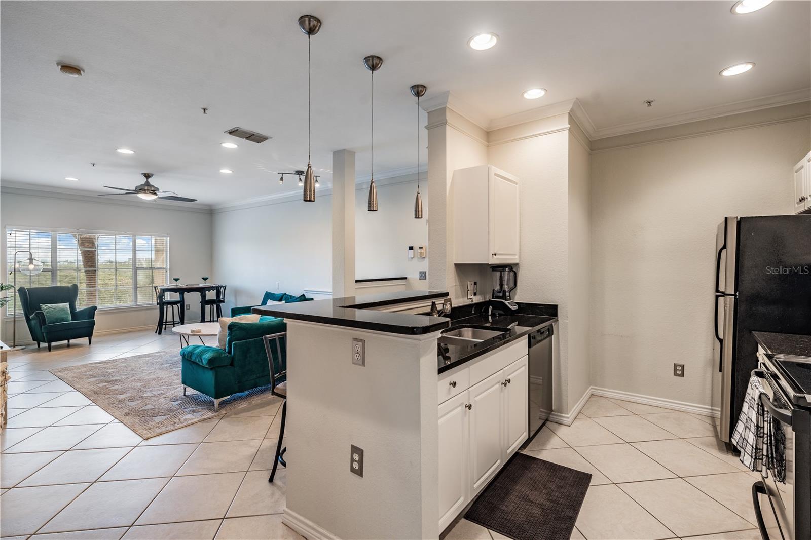 4307 BAYSIDE Vlg Dr #201 TAMPA, FL 33615