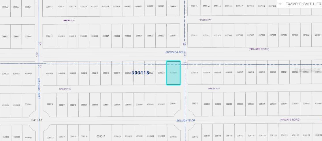 501 JAPONICA Ave INDIAN LAKE ESTATES, FL 33855