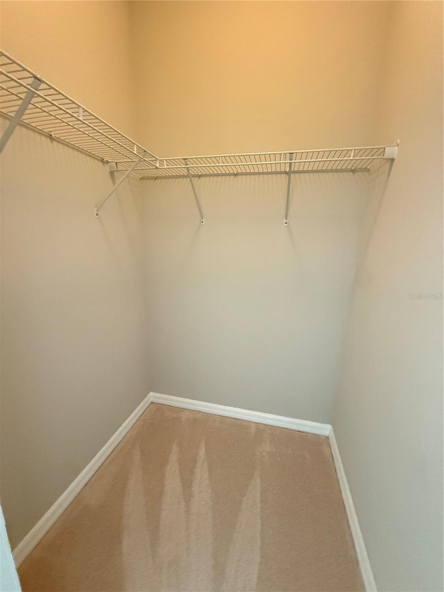 14637 MAPLE ARCH Ln WINTER GARDEN, FL 34787