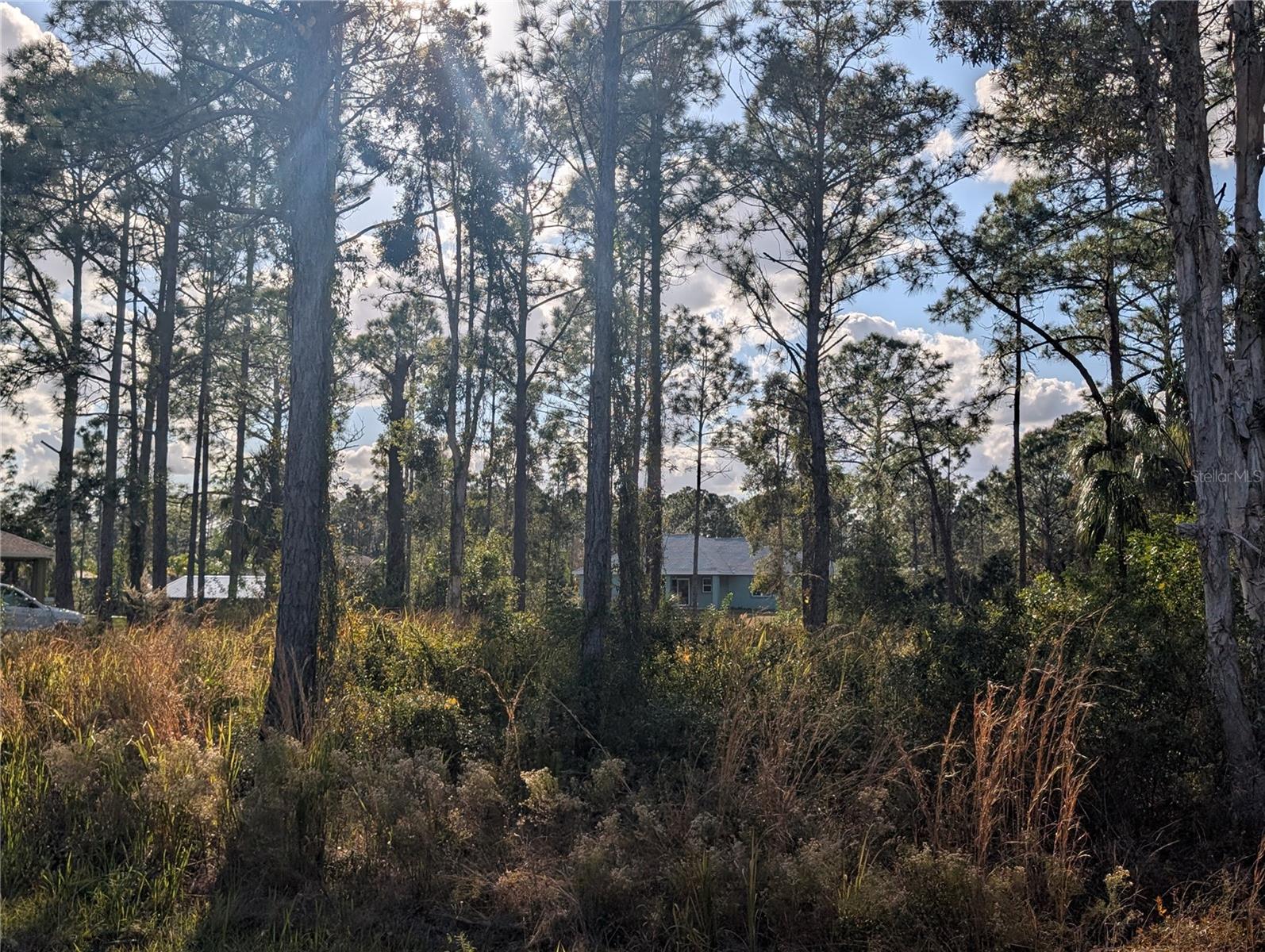 5 LANTANA Dr INDIAN LAKE ESTATES, FL 33855