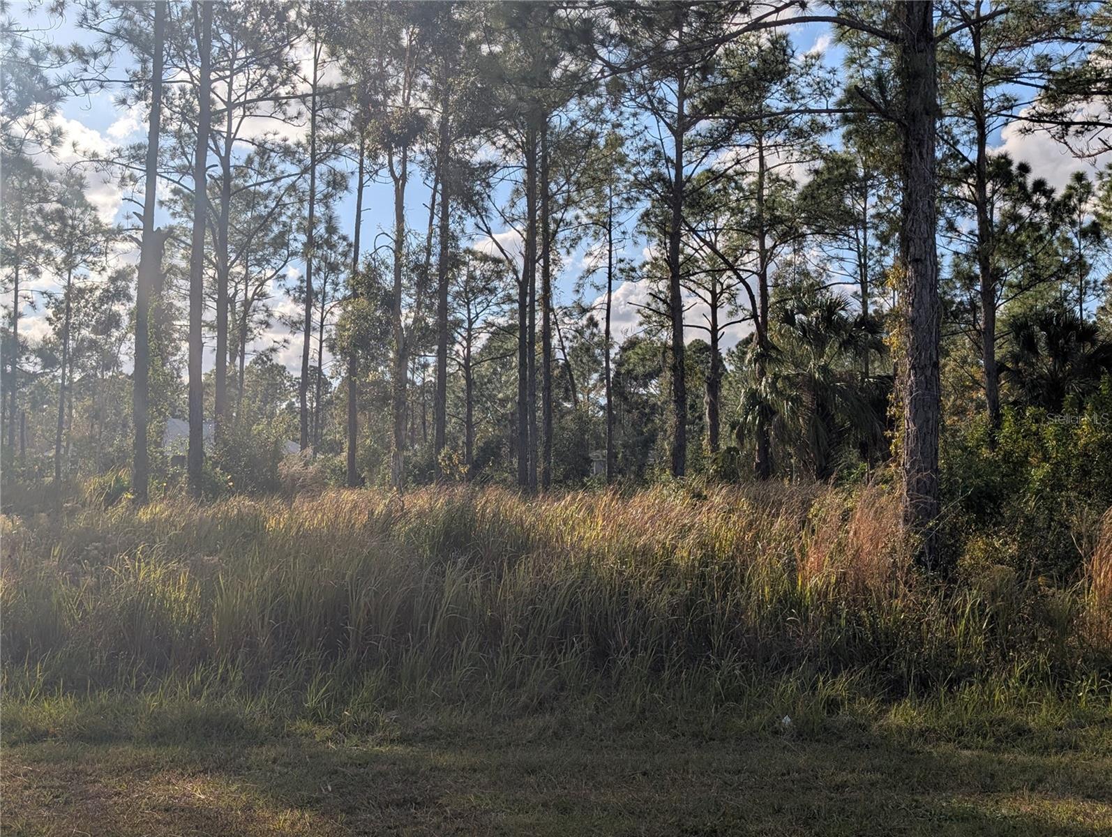 5 LANTANA Dr INDIAN LAKE ESTATES, FL 33855