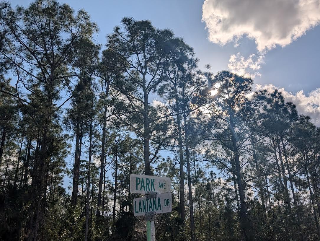 5 LANTANA Dr INDIAN LAKE ESTATES, FL 33855