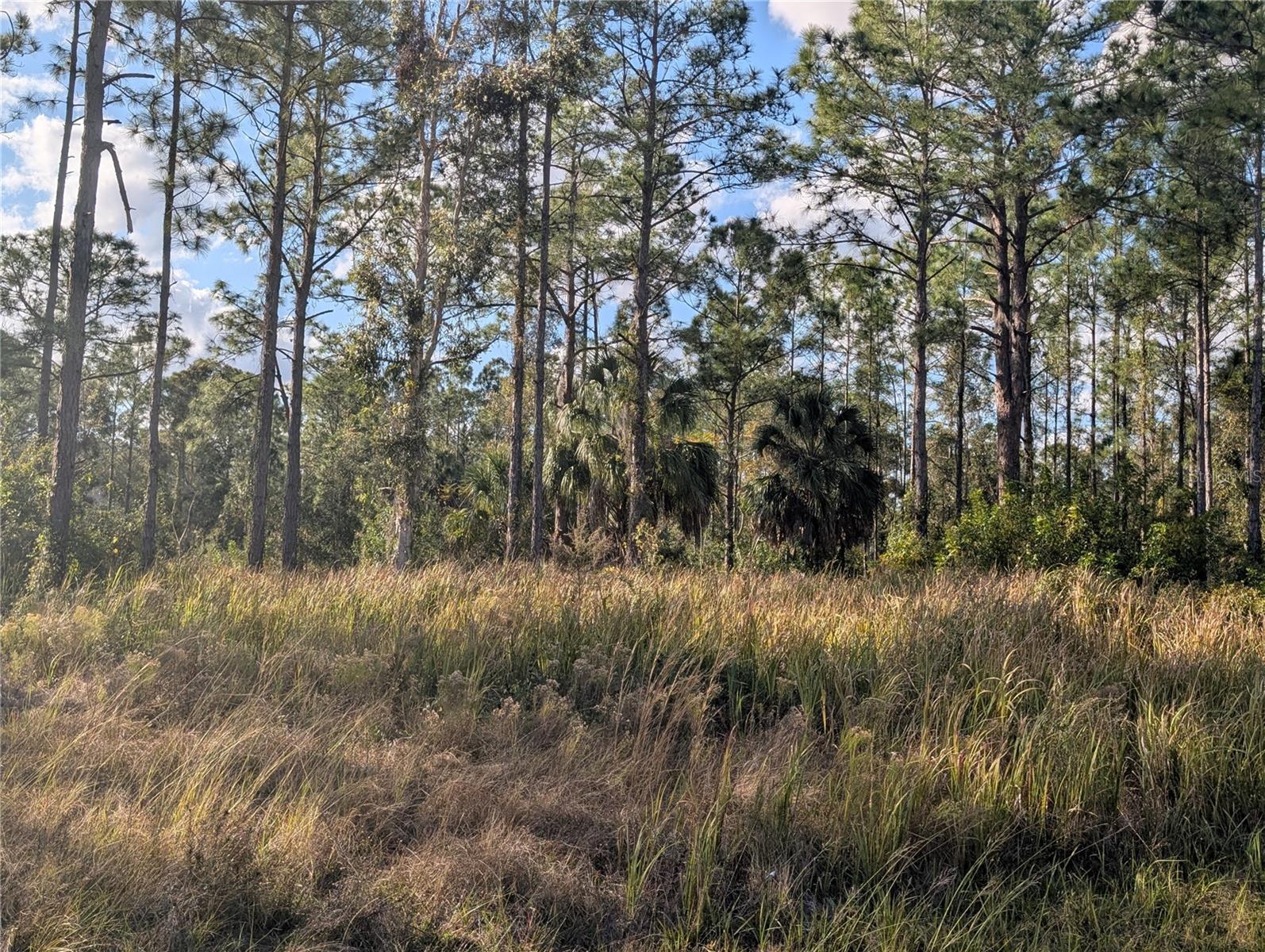 5 LANTANA Dr INDIAN LAKE ESTATES, FL 33855