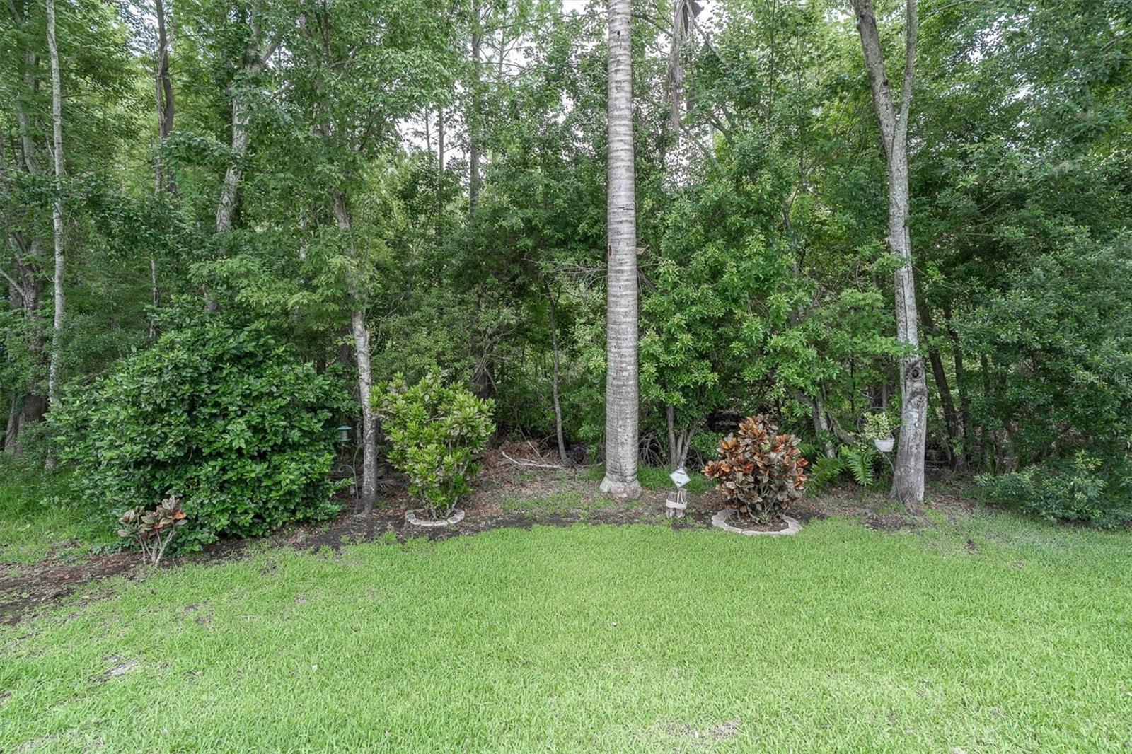 10232 WOODFORD Brg St TAMPA, FL 33626