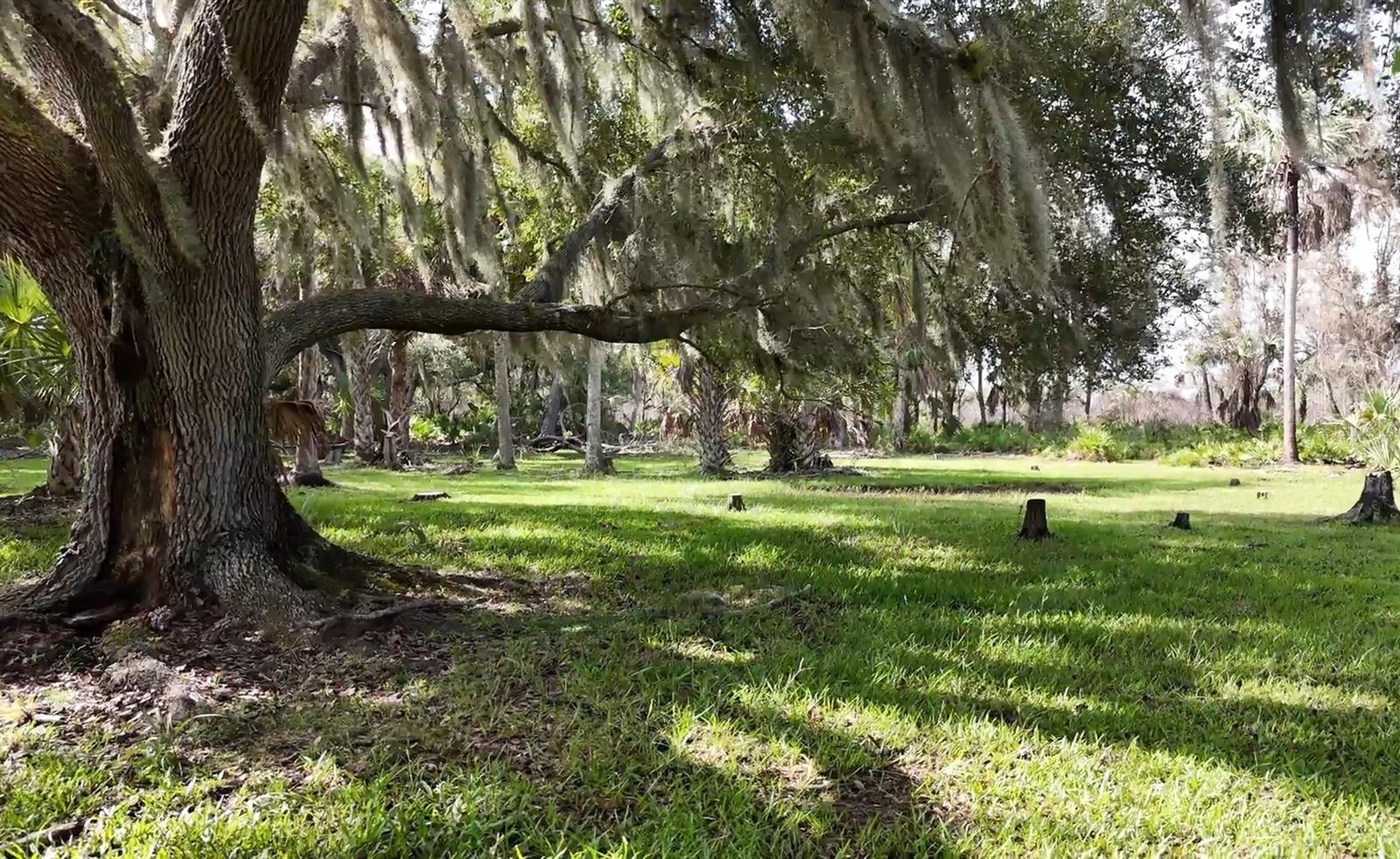 SW ADDISON Ave #A ARCADIA, FL 34266