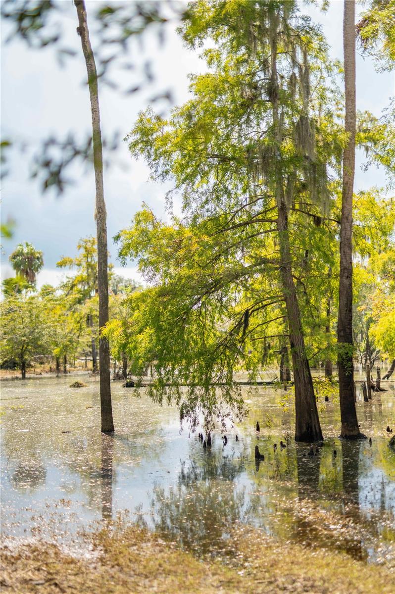 SW ADDISON Ave #A ARCADIA, FL 34266