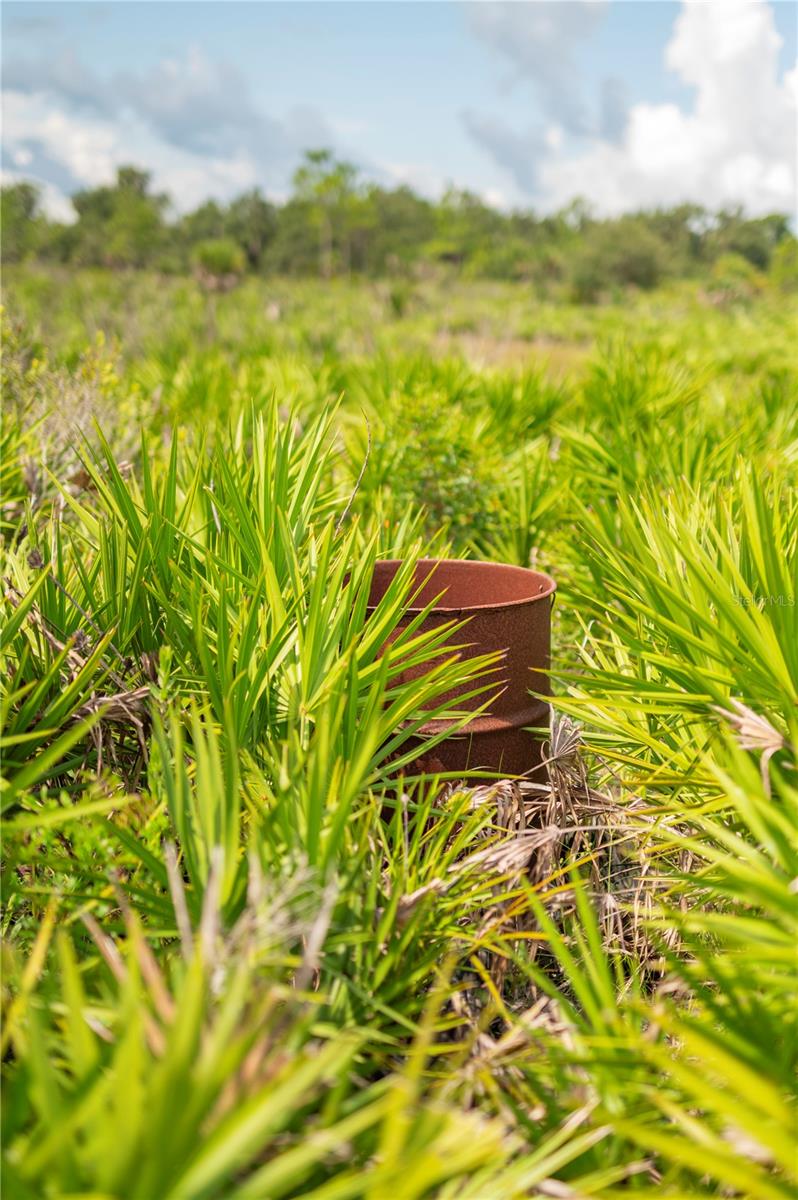 SW ADDISON Ave #A ARCADIA, FL 34266