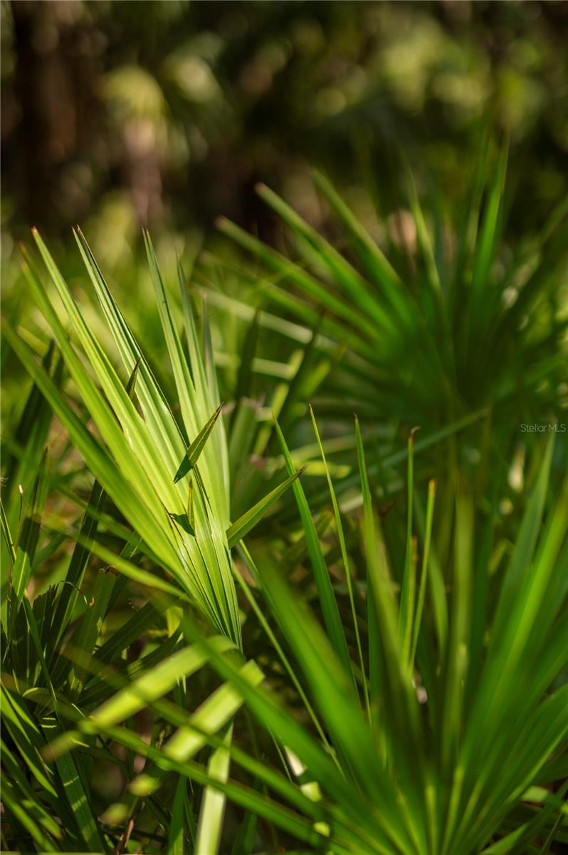 SW ADDISON Ave #A ARCADIA, FL 34266