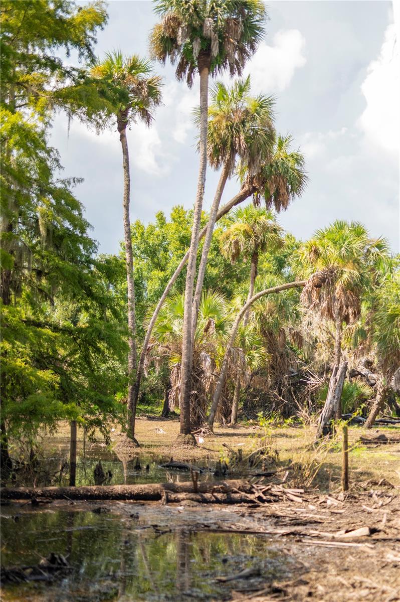 SW ADDISON Ave #A ARCADIA, FL 34266