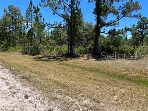 918 JAPONICA Dr INDIAN LAKE ESTATES, FL 33855