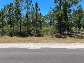 918 JAPONICA Dr INDIAN LAKE ESTATES, FL 33855