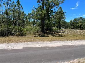 918 JAPONICA Dr INDIAN LAKE ESTATES, FL 33855