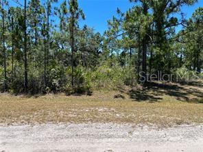 918 JAPONICA Dr INDIAN LAKE ESTATES, FL 33855