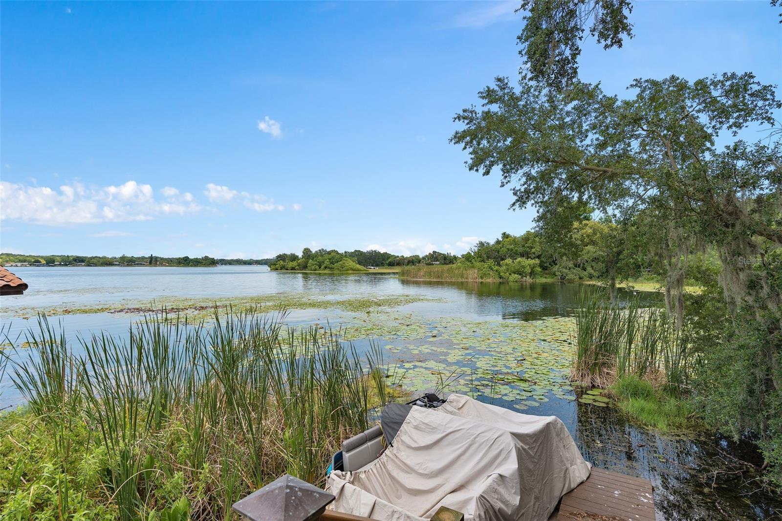 4509 PATRICIA ANN Ct ORLANDO, FL 32839