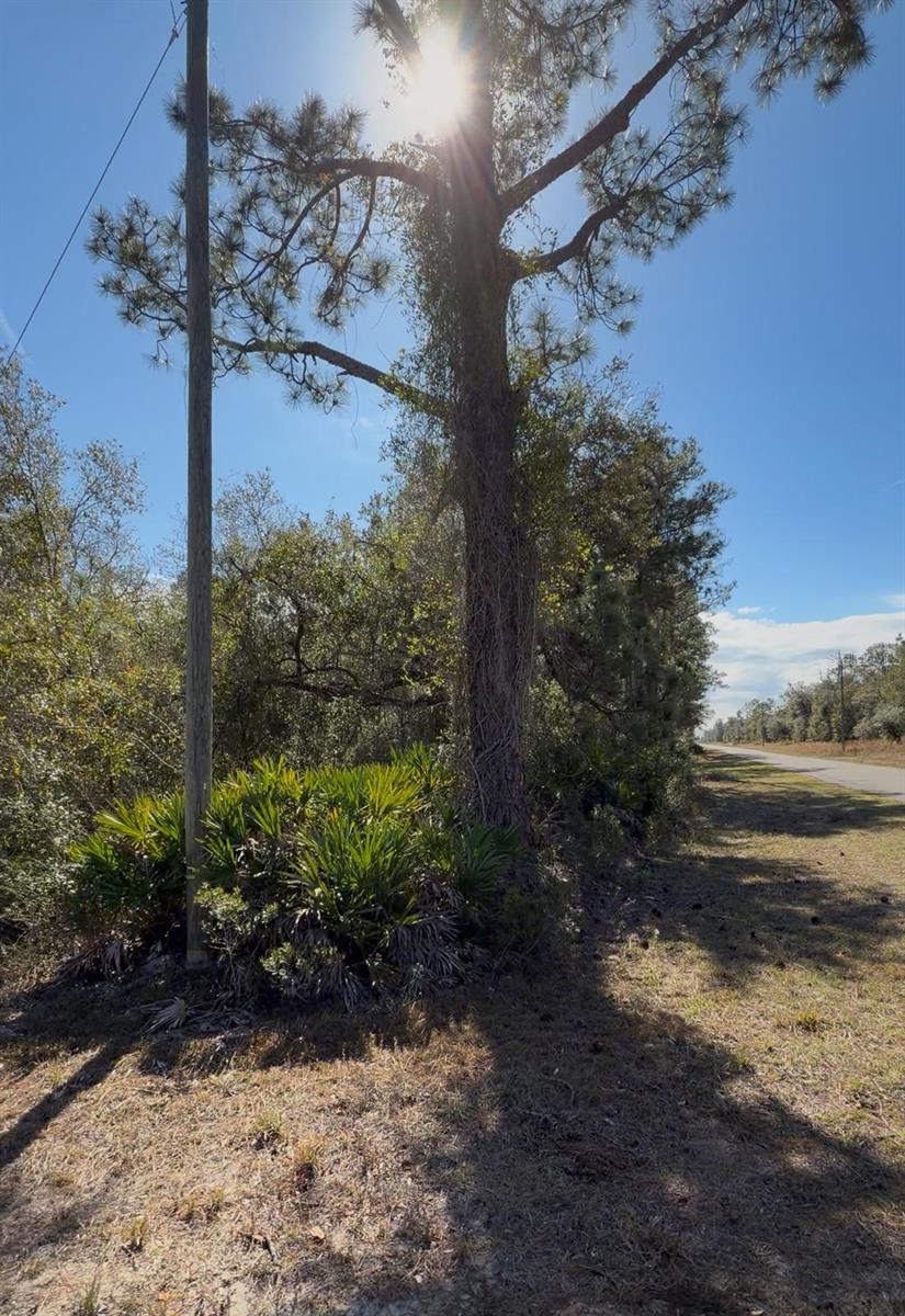 923 GAILLARDIA Dr INDIAN LAKE ESTATES, FL 33855