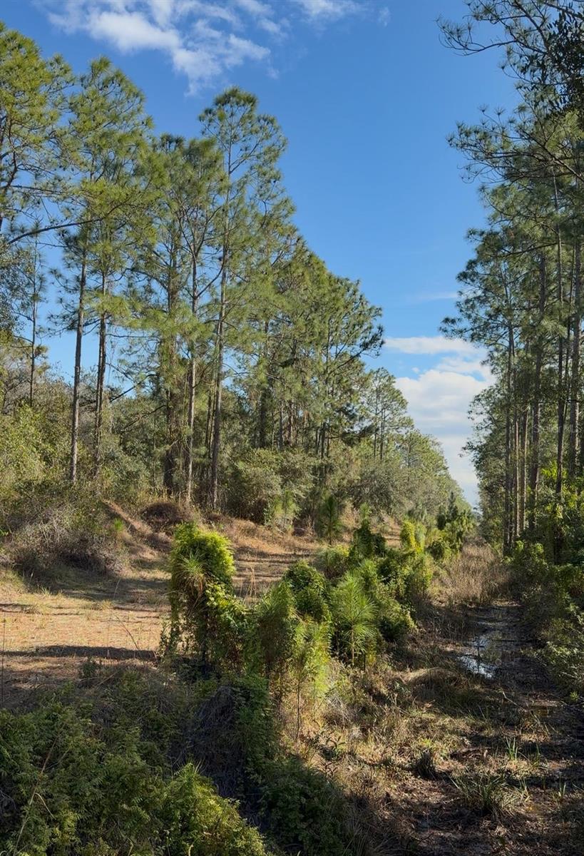 923 GAILLARDIA Dr INDIAN LAKE ESTATES, FL 33855