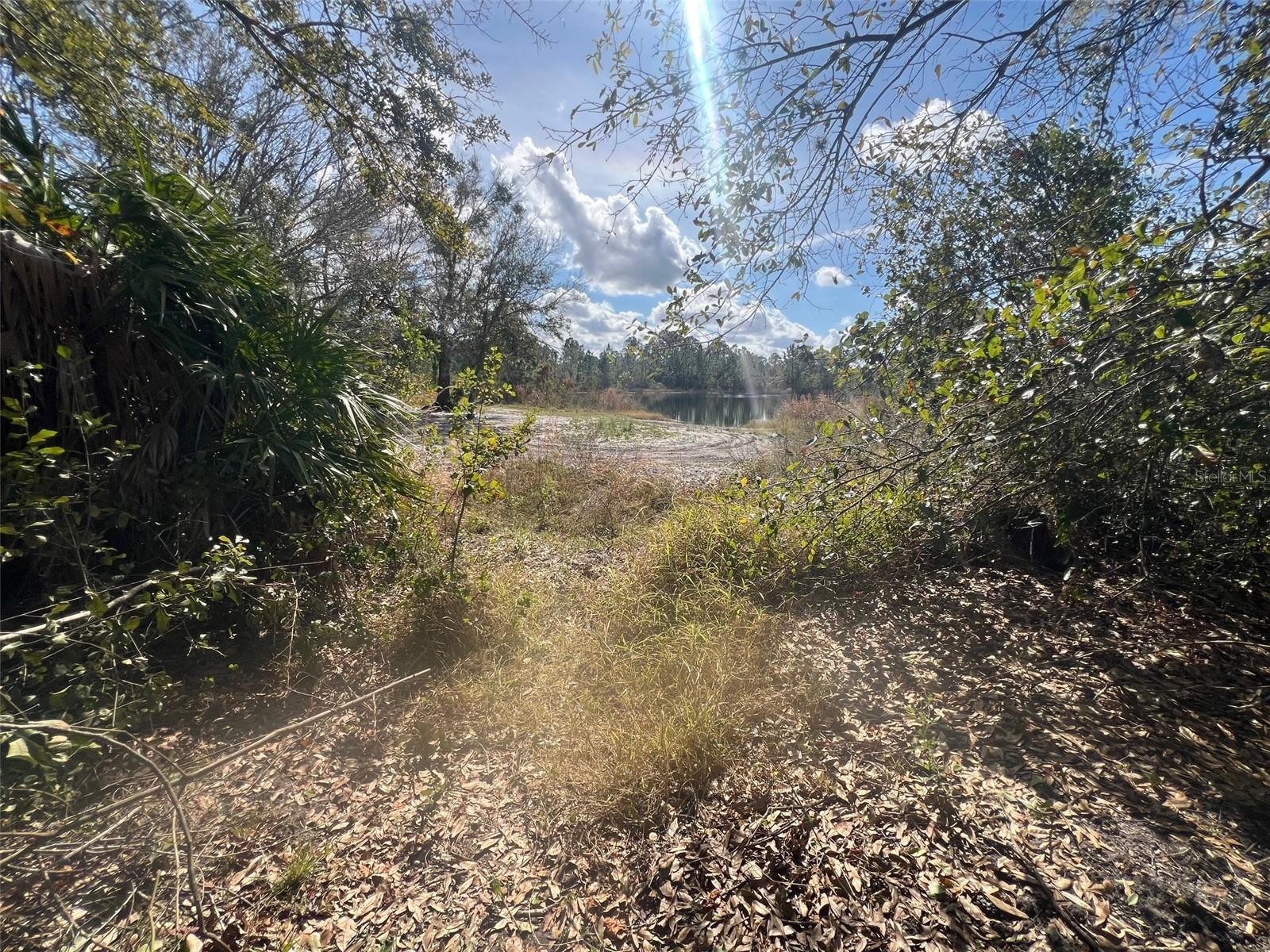 SILVER PALM Dr INDIAN LAKE ESTATES, FL 33855