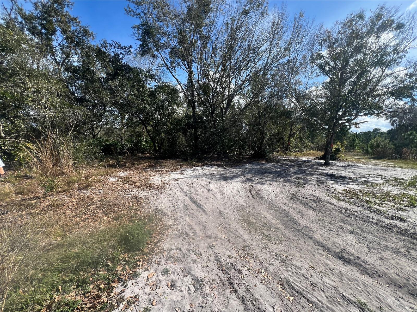 SILVER PALM Dr INDIAN LAKE ESTATES, FL 33855