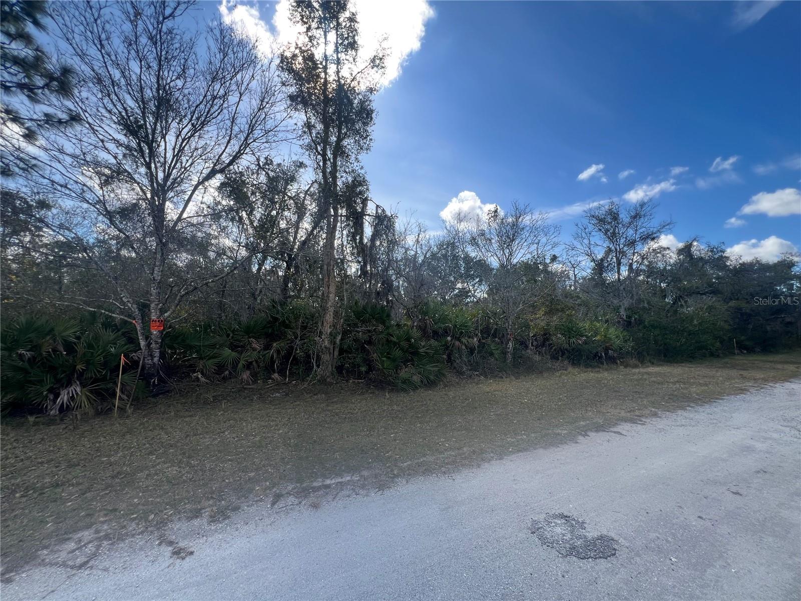 SILVER PALM Dr INDIAN LAKE ESTATES, FL 33855