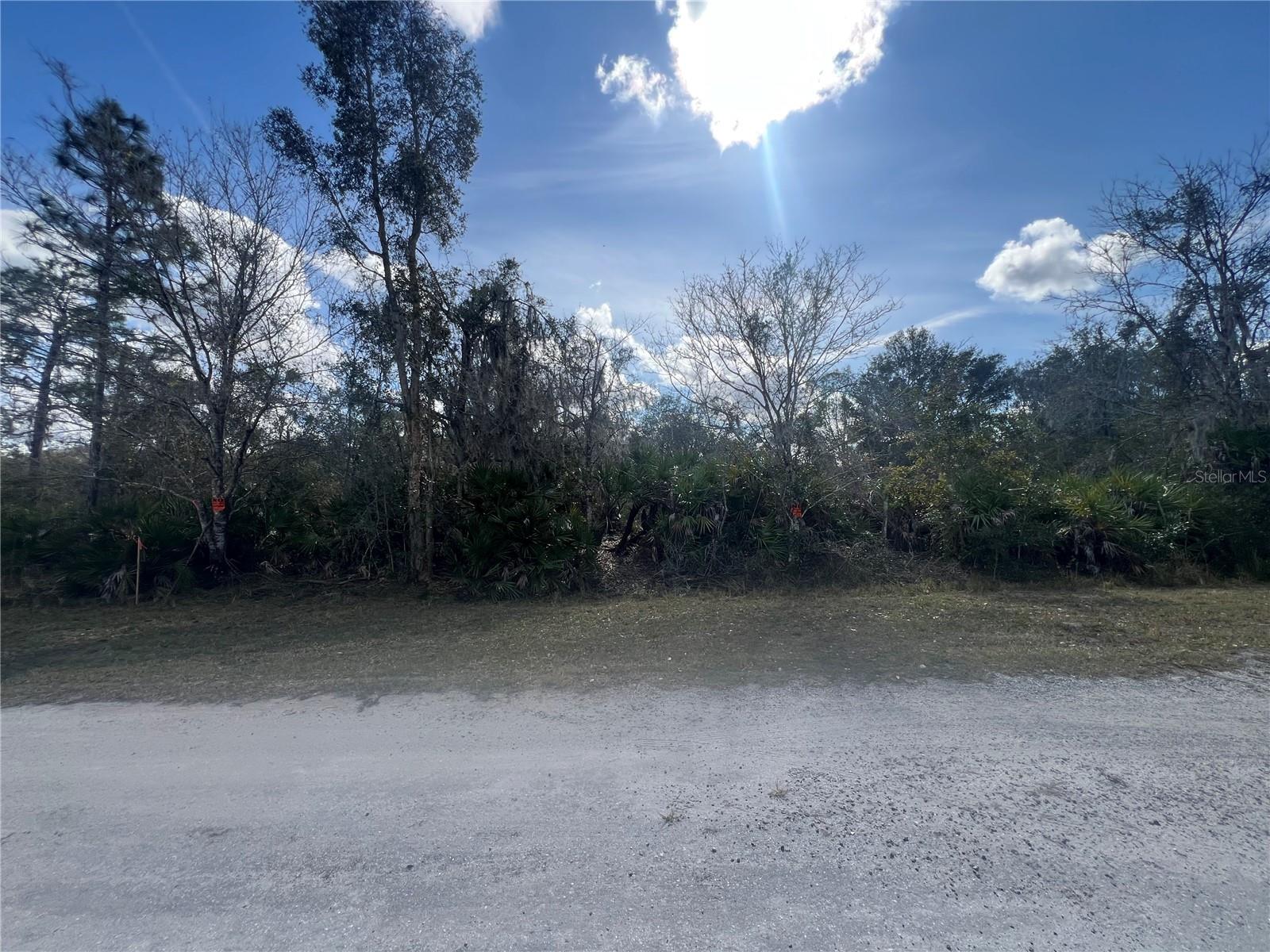 SILVER PALM Dr INDIAN LAKE ESTATES, FL 33855