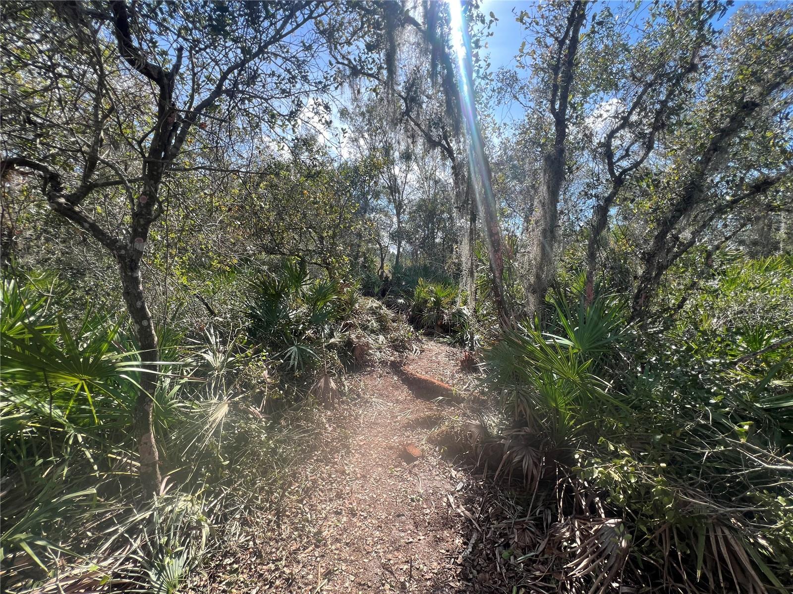 SILVER PALM Dr INDIAN LAKE ESTATES, FL 33855