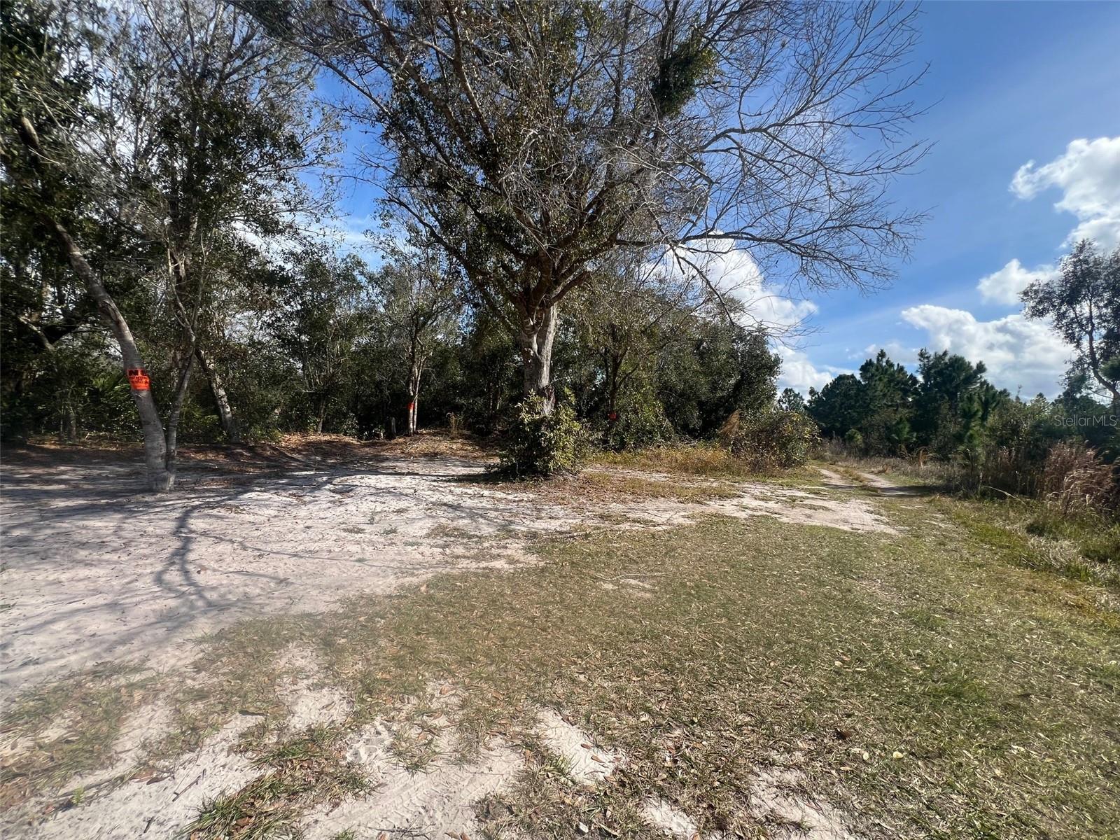 SILVER PALM Dr INDIAN LAKE ESTATES, FL 33855