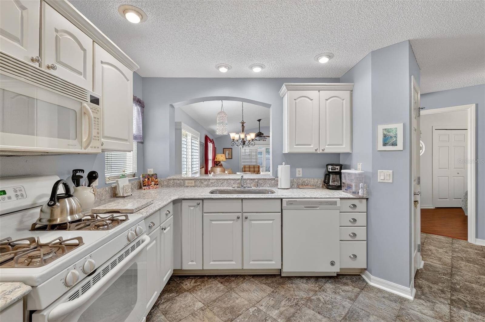 1107 PELION Pl THE VILLAGES, FL 32162