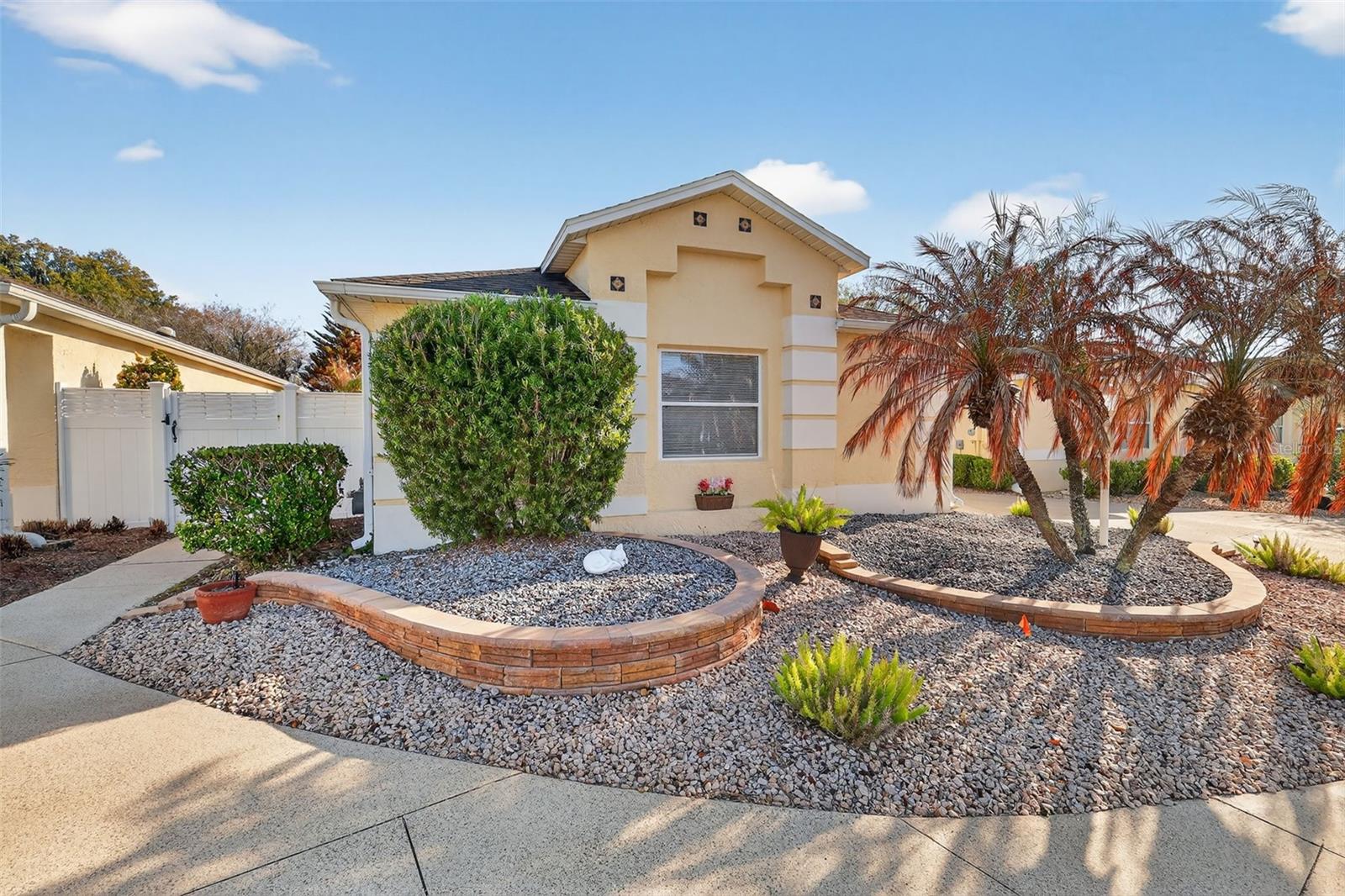 1107 PELION Pl THE VILLAGES, FL 32162