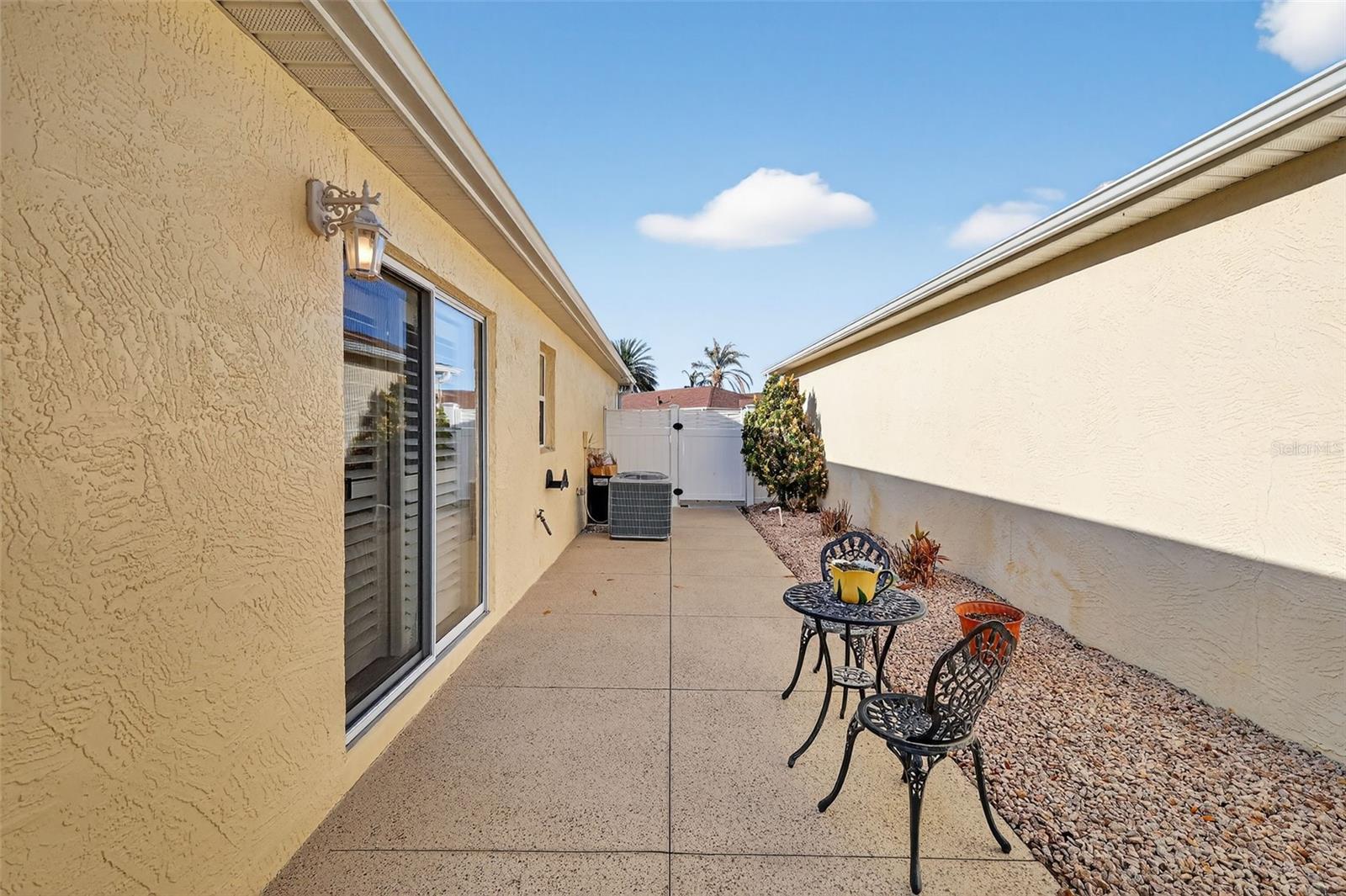 1107 PELION Pl THE VILLAGES, FL 32162