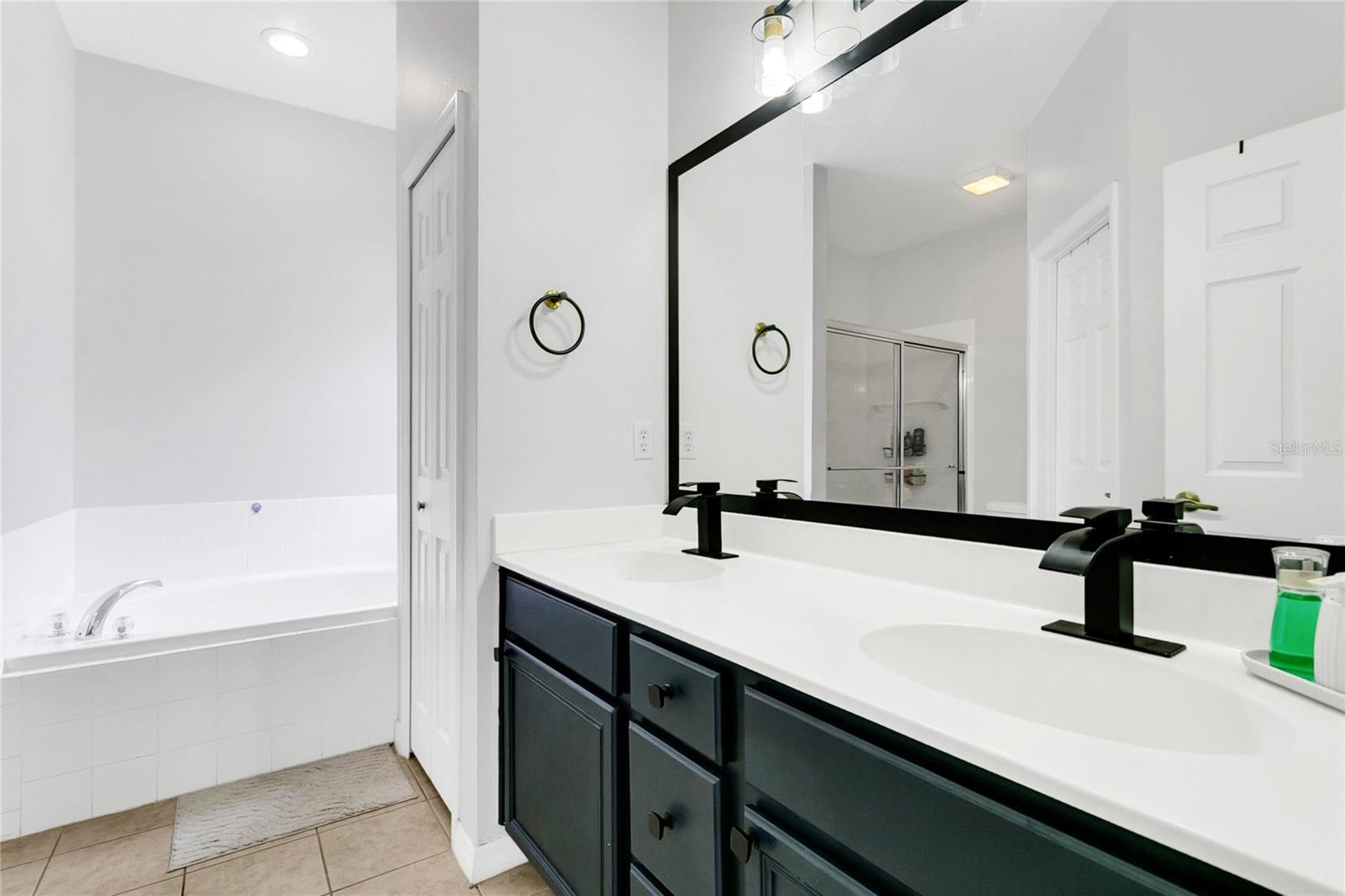 259 MAGICAL Way KISSIMMEE, FL 34744