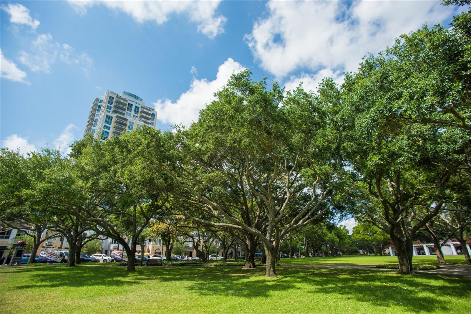 400 Bch Dr #2605 ST PETERSBURG, FL 33701