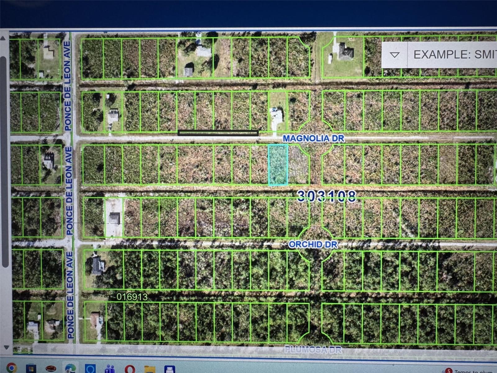 303 MAGNOLIA Dr LAKE WALES, FL 33855