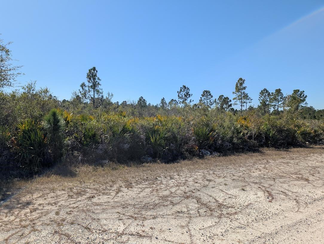 503 ALBA Dr INDIAN LAKE ESTATES, FL 33855